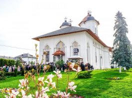 Mănăstirea Cernica