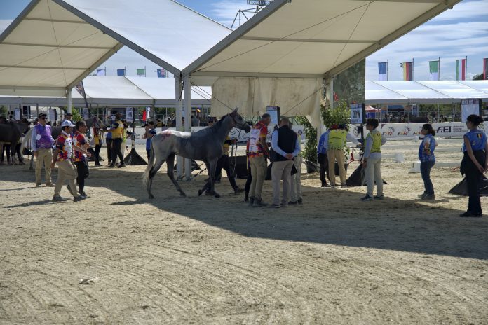 CONCURS-INTERNATIONAL-ANDURANTA-20.09.2025-1-587