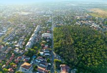 Comuna Chiajna îşi apără pădurea-parc Roşu