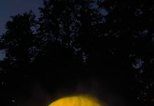 SUMMER WELL împlinește 15 ani. Festivalul care a transformat muzica într-un univers cultural revine în august, la Buftea